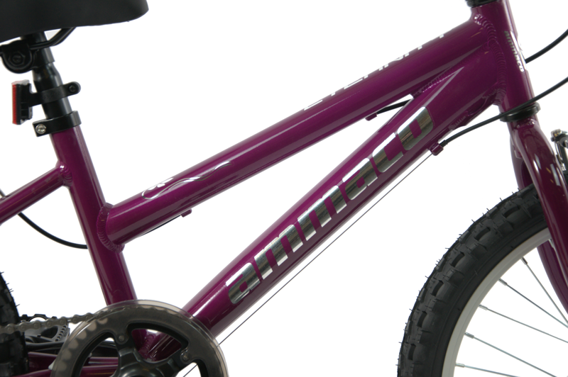 Ammaco Eternity 20 Inch Wheel Kids Bike Purple-1